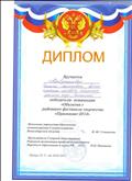 диплом  победителя номинации "Объектив" районного фестиваля творчества "Признание - 2013"